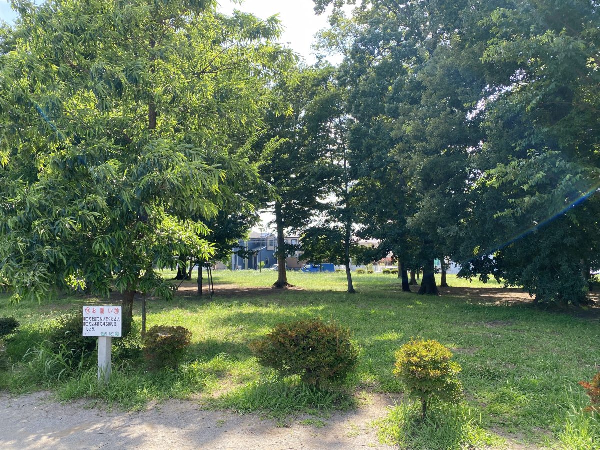 「まるで森の中？自然が生きているような風景に、子どもたちはいつもワクワク♩」思わず深呼吸したくなるような、緑あふれる景色の中で親子でのんびりおそと時間が過ごせる公園です