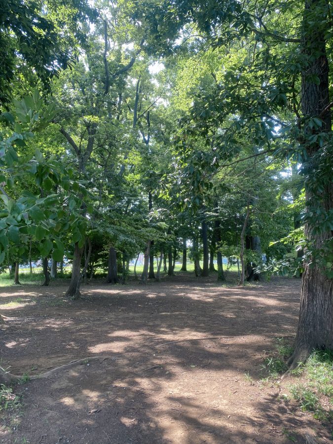木陰がたっぷりだから、暑い日でもお散歩が心地いい♩自然の涼しさにほっとひと息