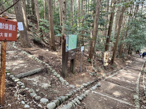 滝道へ行く