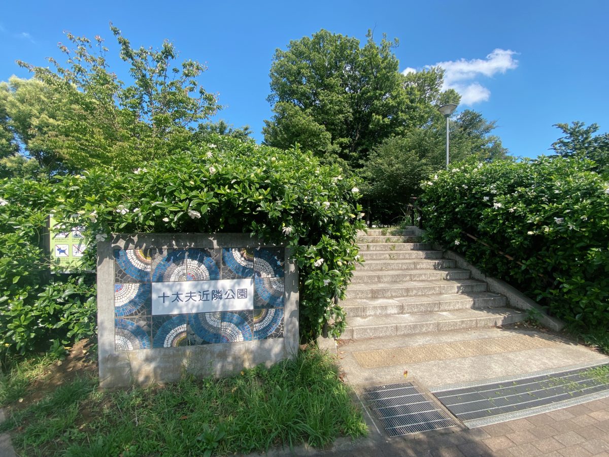 【公園入口の様子②】階段をのぼるワクワク感！“今日はどっちの道から行く？”なんて声も(^^)