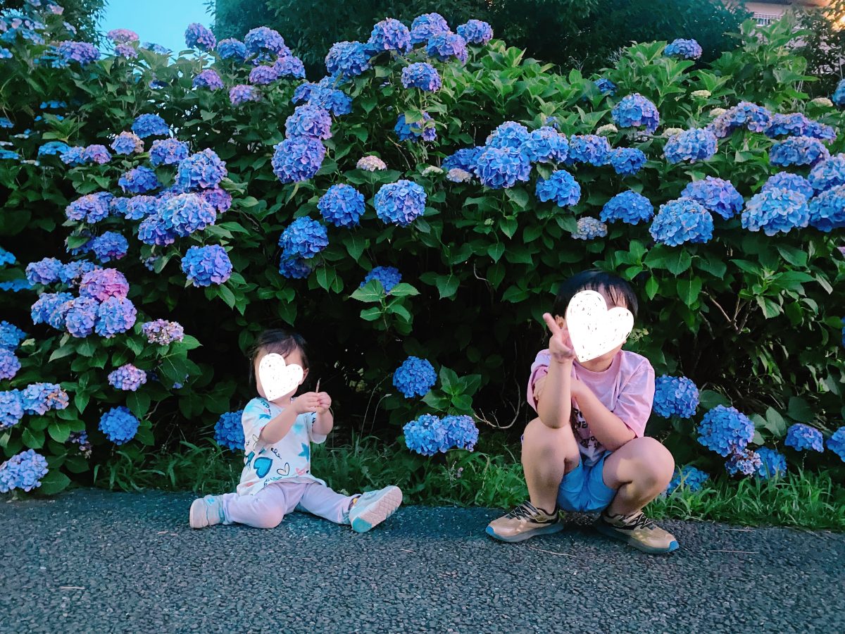 花がきれい！って感じる心を、一緒に育てたい♡〜紫陽花と一緒に季節と成長を写真に〜