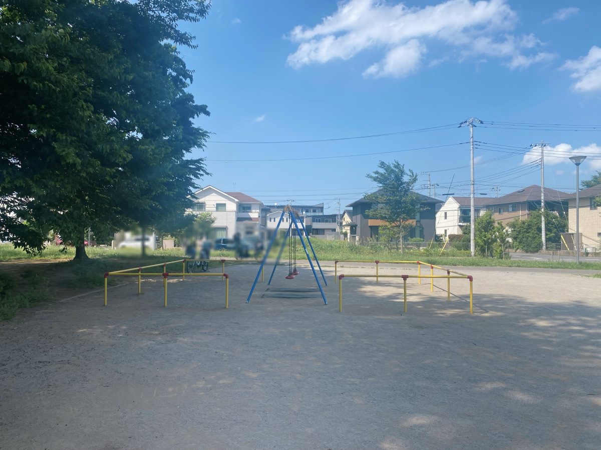 夏にうれしい広い木陰！