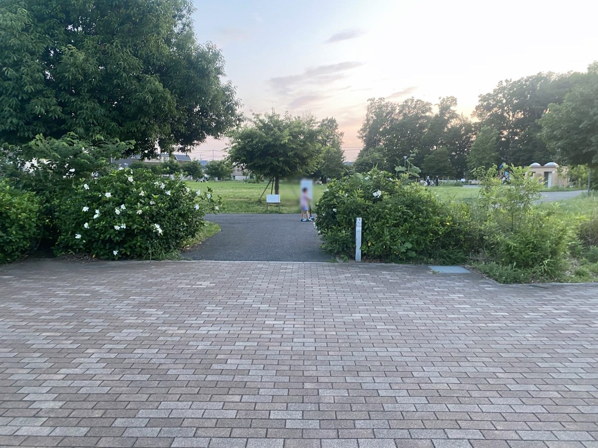 入口から広がる緑の景色に、思わず走り出したくなる！
