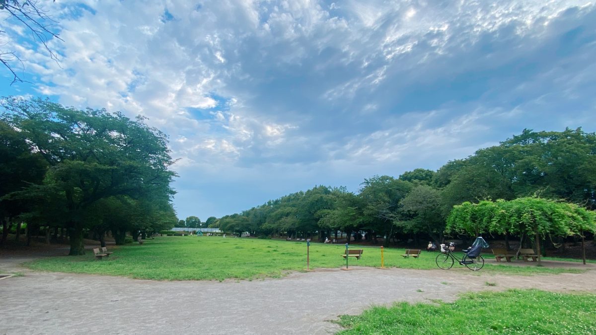 【柏市】暑い日でも遊びたい！木陰＆ゆったり遊具がうれしい「西十余二第一公園」〜ママの公園開拓レポ〜