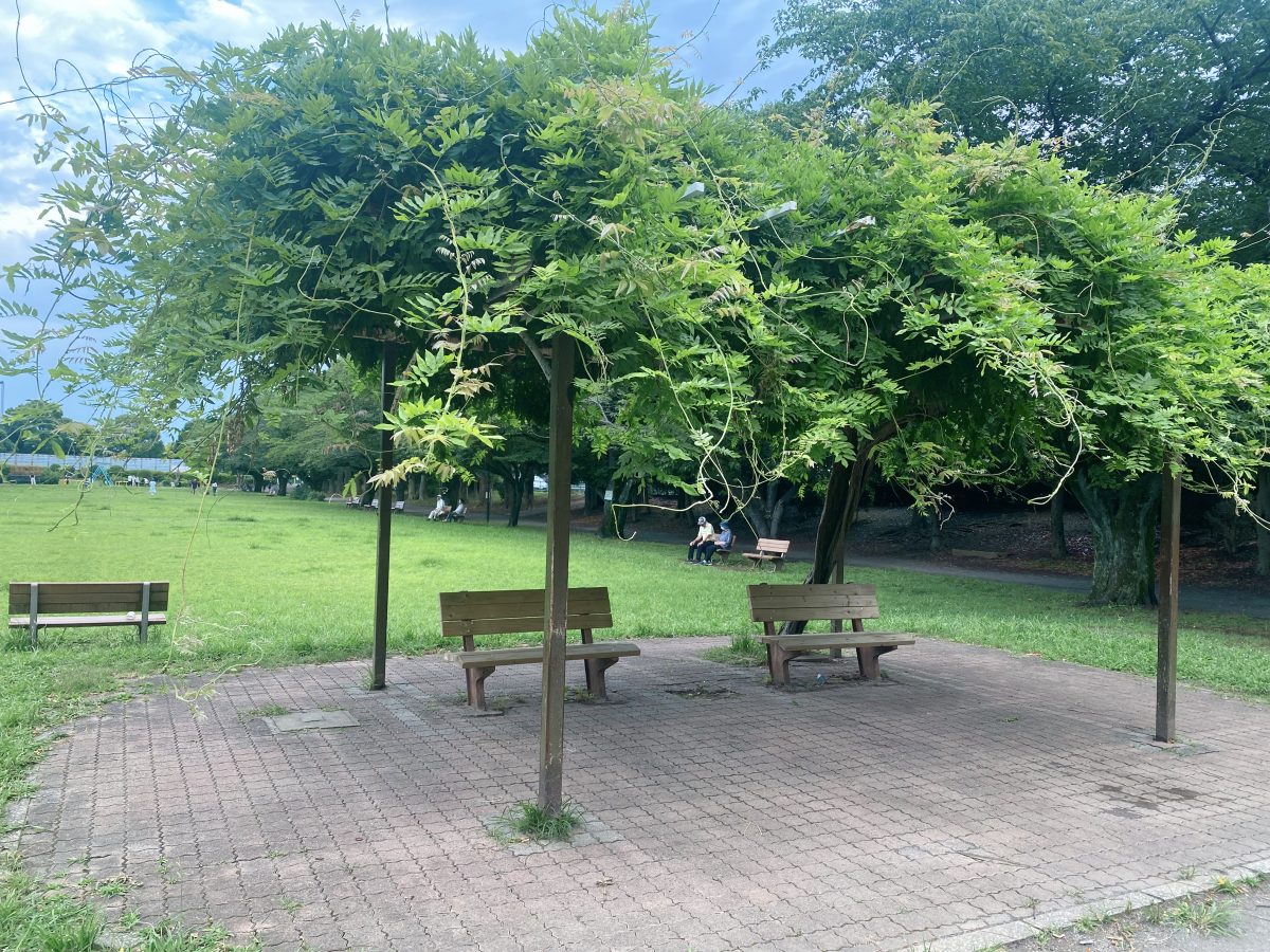 木陰でひと休みできるベンチもあり、夏場の遊び場にぴったり