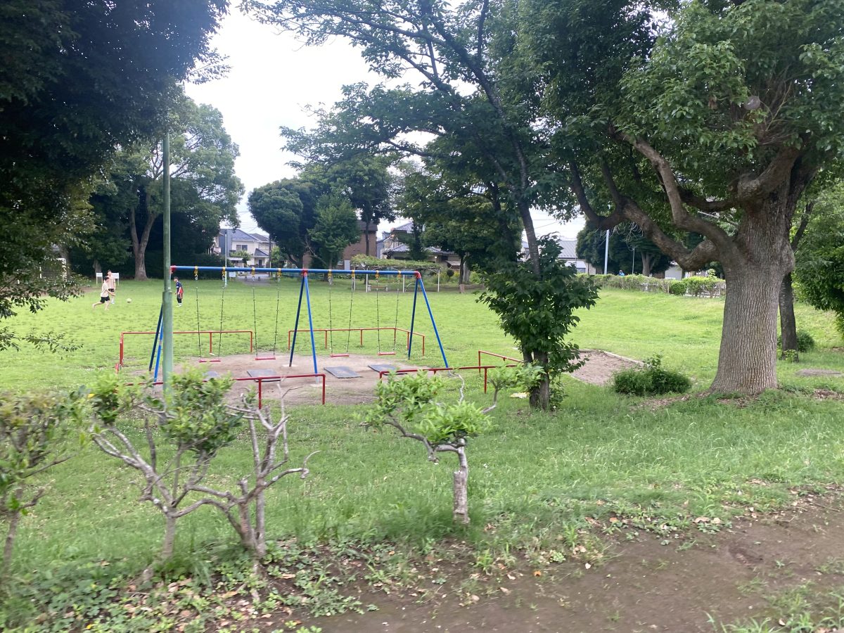 サッカーを楽しむ子どもたちの姿も♩元気があふれる芝生エリアが印象的でした