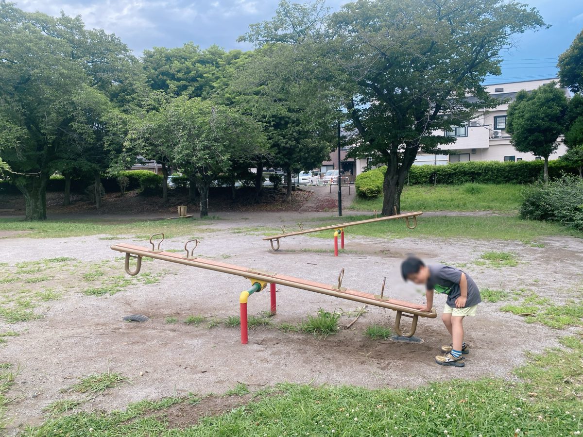【シーソー2基】一度に複数人で楽しめるタイプが2つ！兄弟・お友だちと一緒に遊べるのが嬉しいポイントです