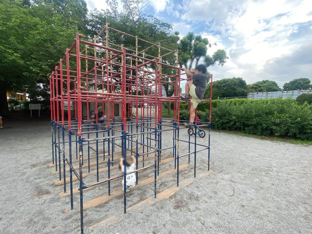 【ジャングルジム】登っても、くぐっても、どこからでも楽しめるシンプルなジャングルジムが良かった！6歳息子はてっぺんめざして挑戦！
