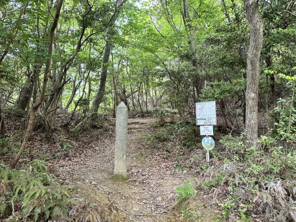 古参道と旧参道のわかれ目