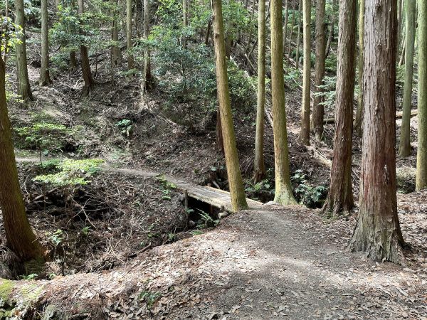 小川が流れる
