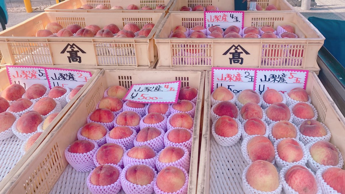 【流山市】知ってた？桃好きにうれしい直売車が今年も登場！地元の夏の定番スポット