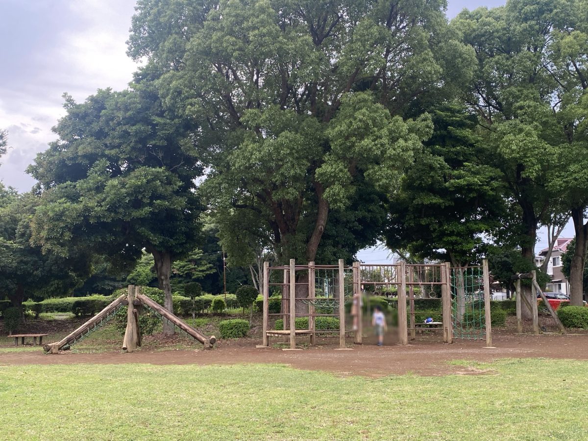 どこから遊ぶ？見渡すだけでわくわくする遊具たち！