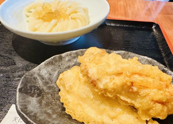 とり天ざるうどん