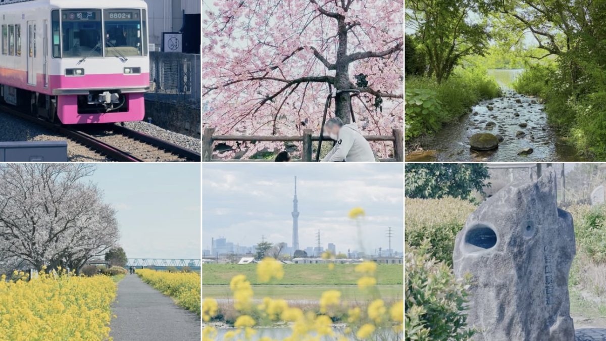 わたしが運用するInstagram「おかえり、松戸」のフィード