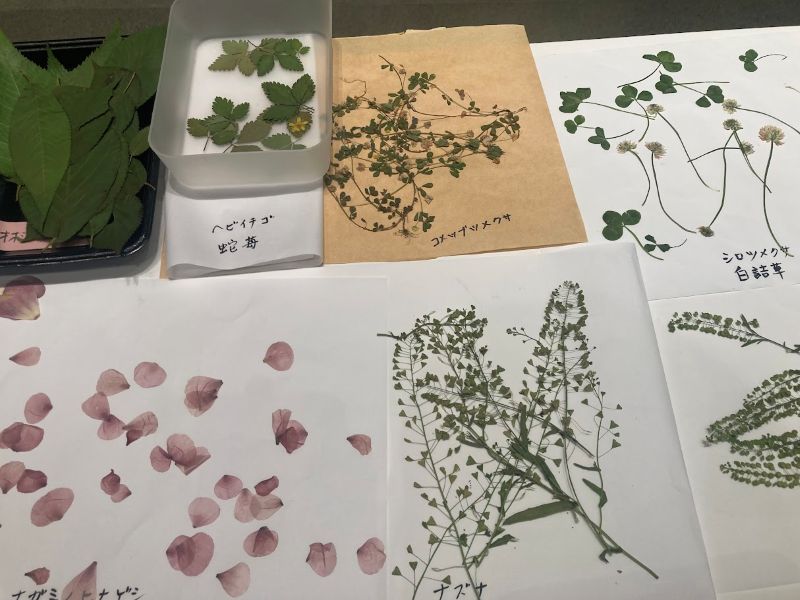 名前も書いてあって、勉強になります