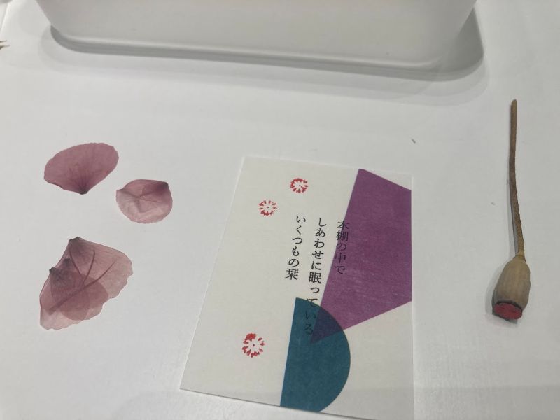 豆ノートのワークショップで持ってきていた紙にポンポン押しました