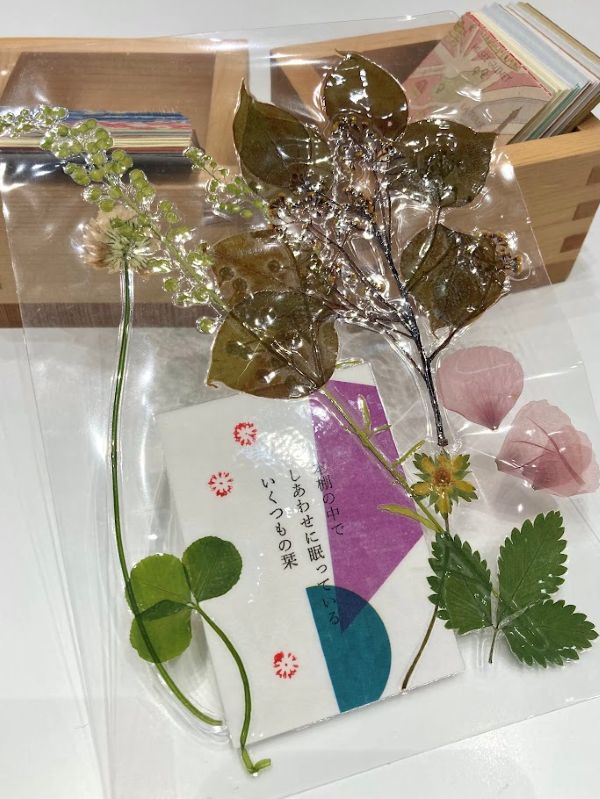 ラミネート後の透明感も素敵！