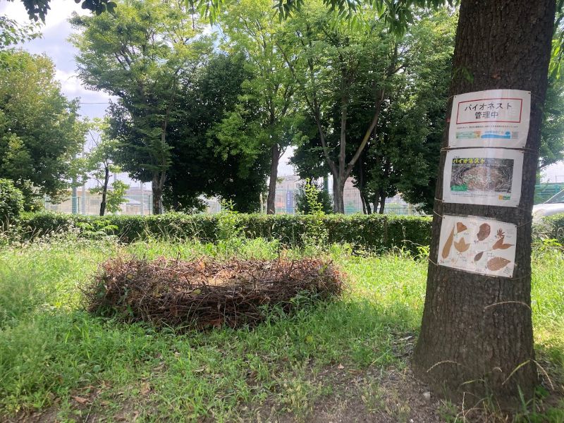 おにクルの向かいの消防署から、東中条公園の方へ歩いて行ったところ