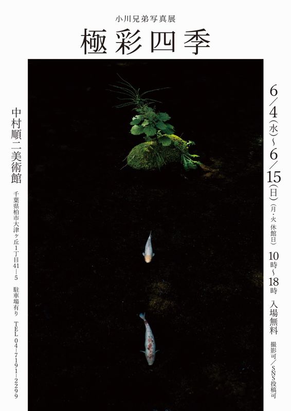 今回の写真展の案内カード。展示してあるこの作品、水の冷たさまで感じるようでした。