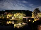 【百舌鳥】大仙公園の日本庭園で夜間特別開園！7月19日（土）～21日（月祝）までの期間限定イベント