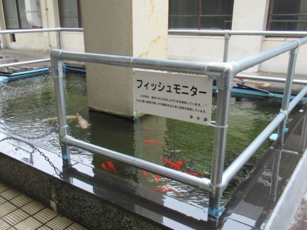 フィッシュモニター