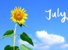 【今週末のイベントまとめ♪】2025年7月5日(土)・6日(日)編