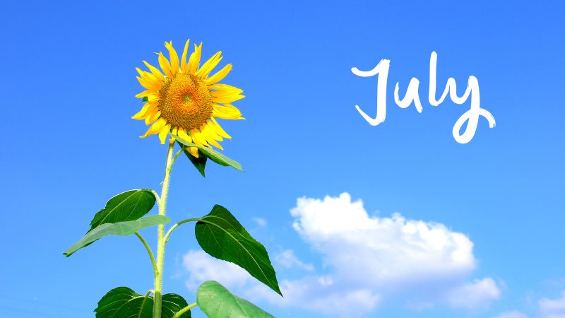 【今週末のイベントまとめ♪】2025年7月5日(土)・6日(日)編