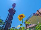 【流山市】2025年8月1日(金)～31(日) 夏休みワークショップ開催！ in 利根運河交流館