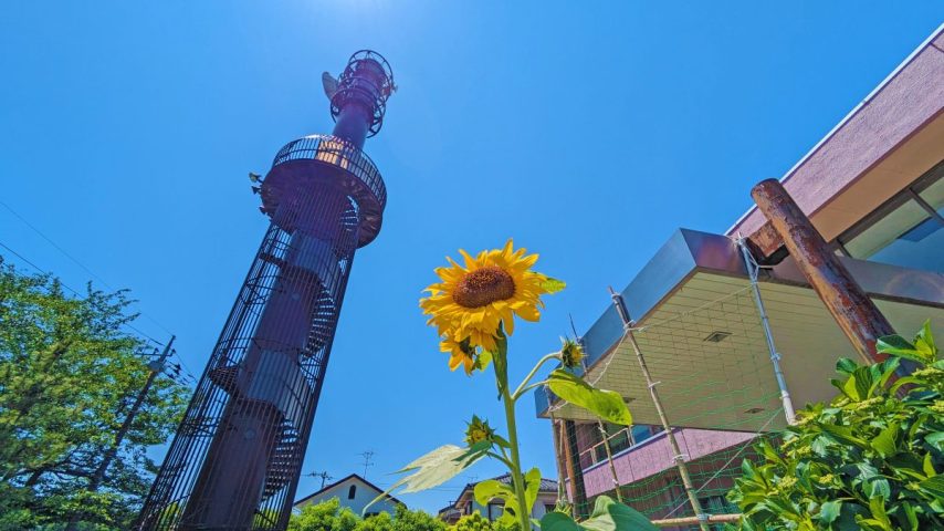 【流山市】2025年8月1日(金)~31(日) 夏休みワークショップ開催! in 利根運河交流館