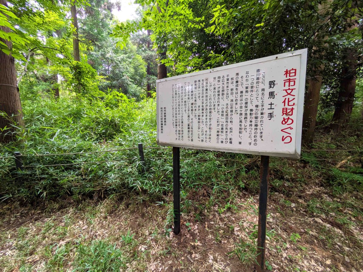 柏市の文化財でもある野間土手もあります。