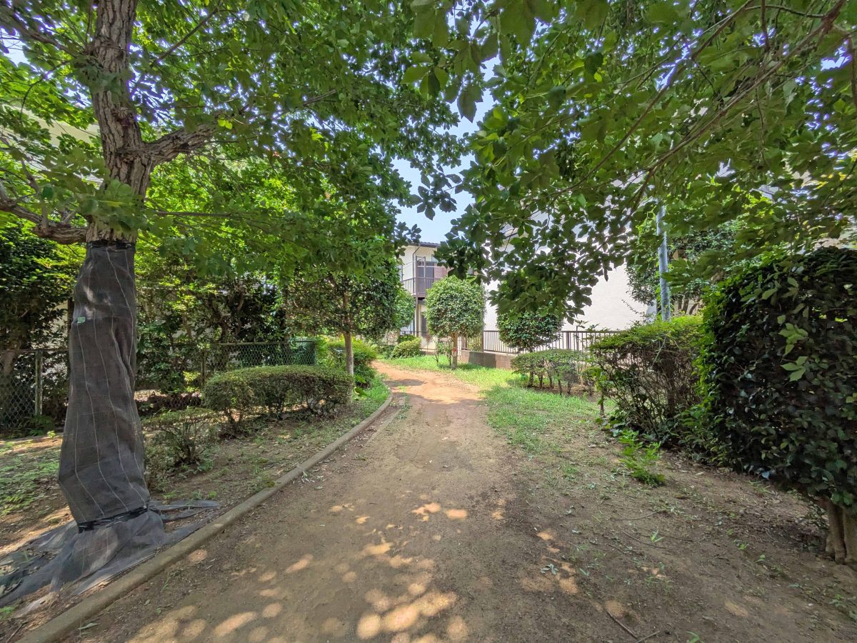 つくしが丘第四公園から緑道を振り返るとこんな感じ