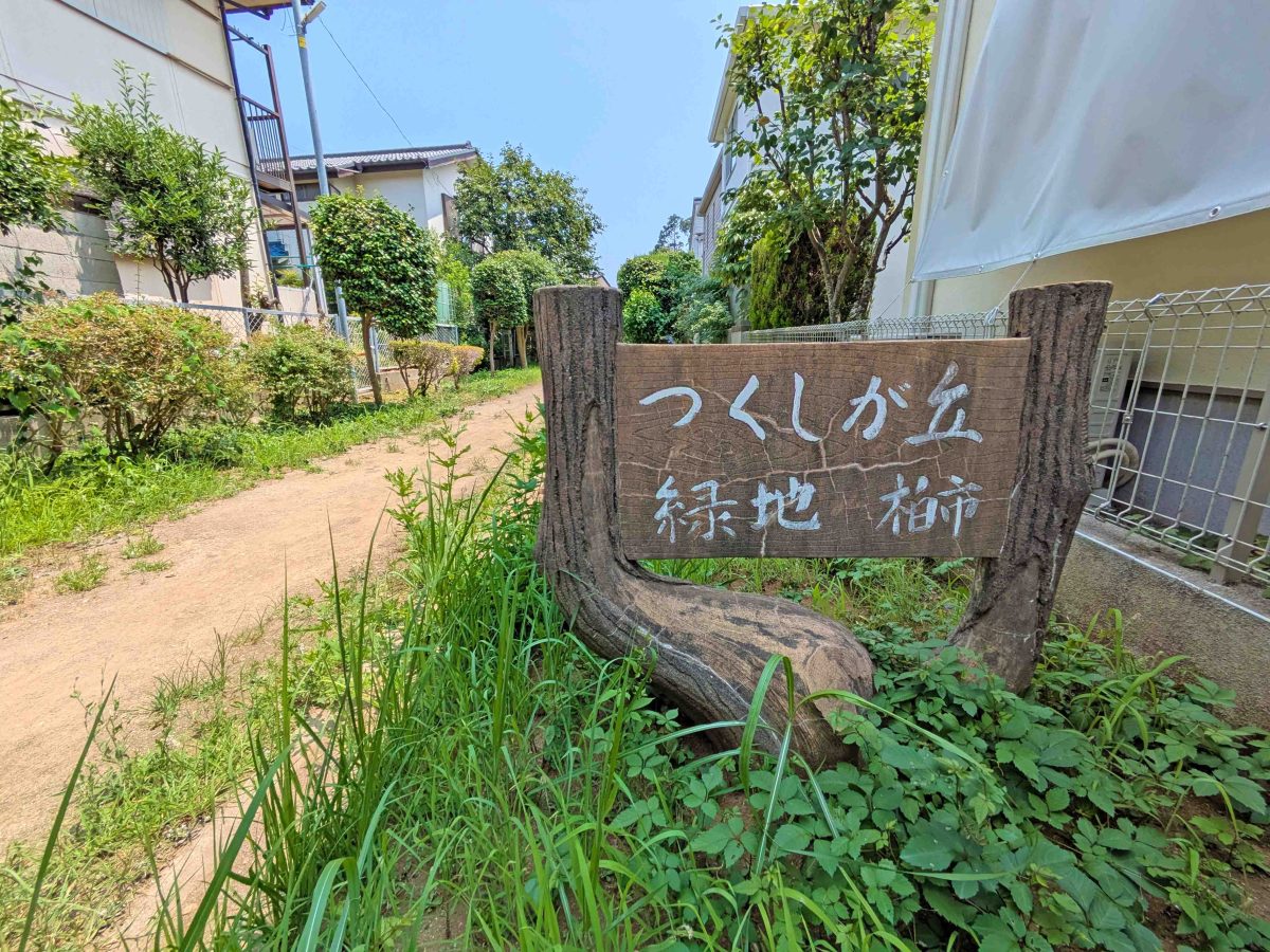 緑道の途中