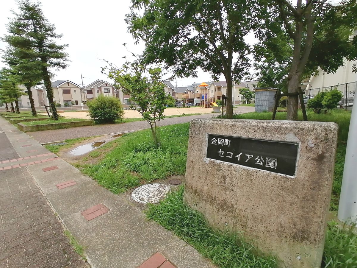 入口