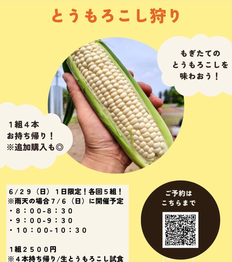 【イベントチラシ】〜画像は主催:connect nagareyamaより提供〜