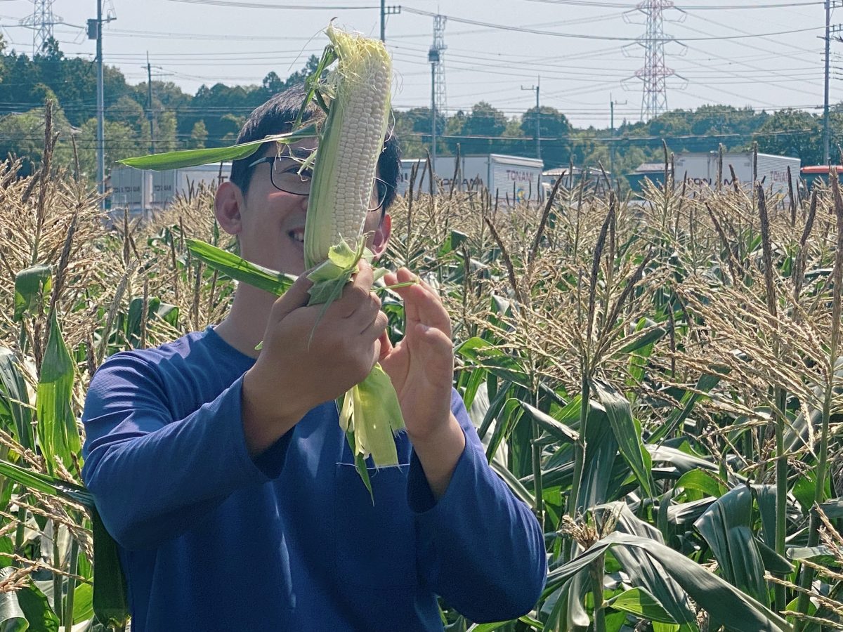 お手本で見せてもらったホワイトコーンに、思わず“わぁっ！”の声〜白く輝くとうもろこし“これが今日の主役だ！”〜