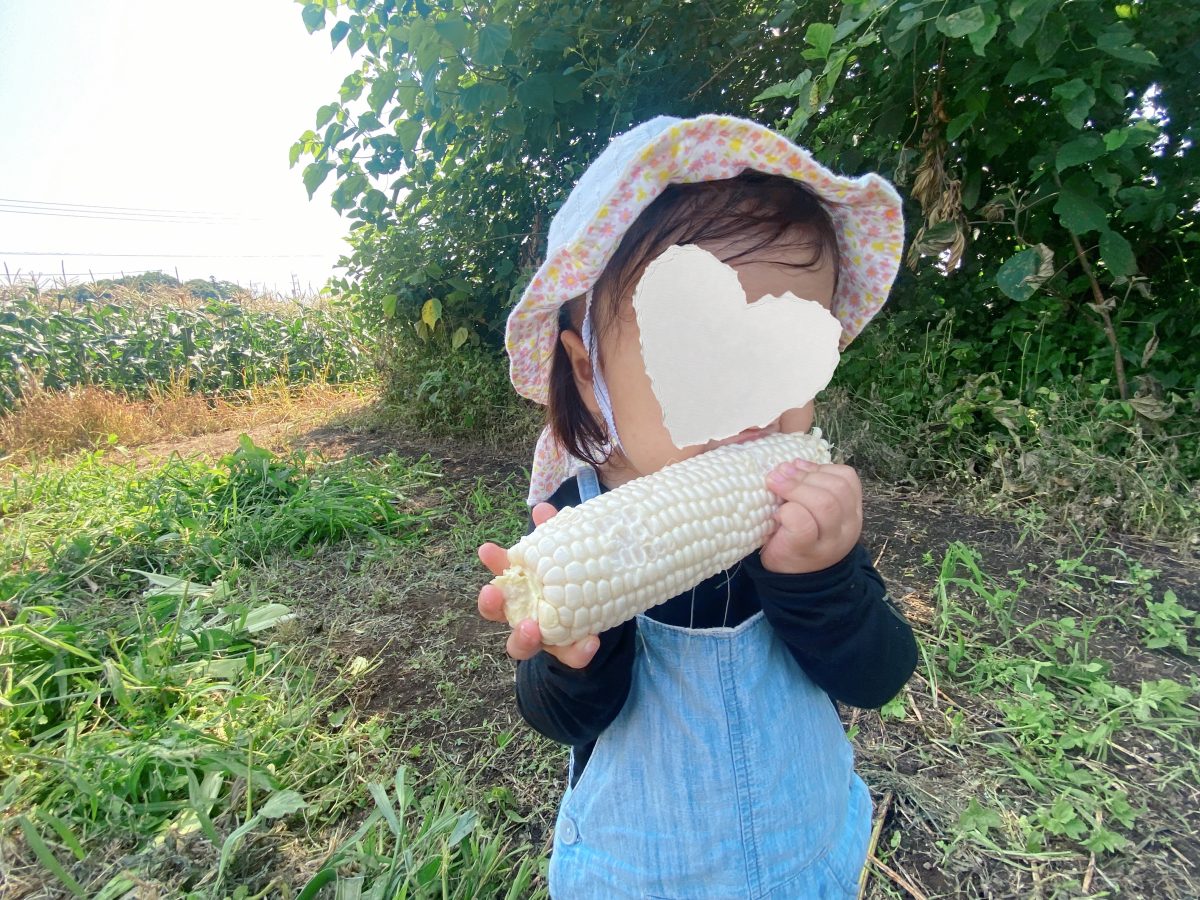 ぱくっ！もぐもぐ♡…もう一口！と止まらない1歳の本気の食いつき