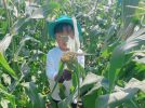 【野田市】フルーツみたいな甘さ！栗田農園さんでホワイトコーンを収穫♩ 〜親子で楽しむ夏のほんもの体験レポート〜