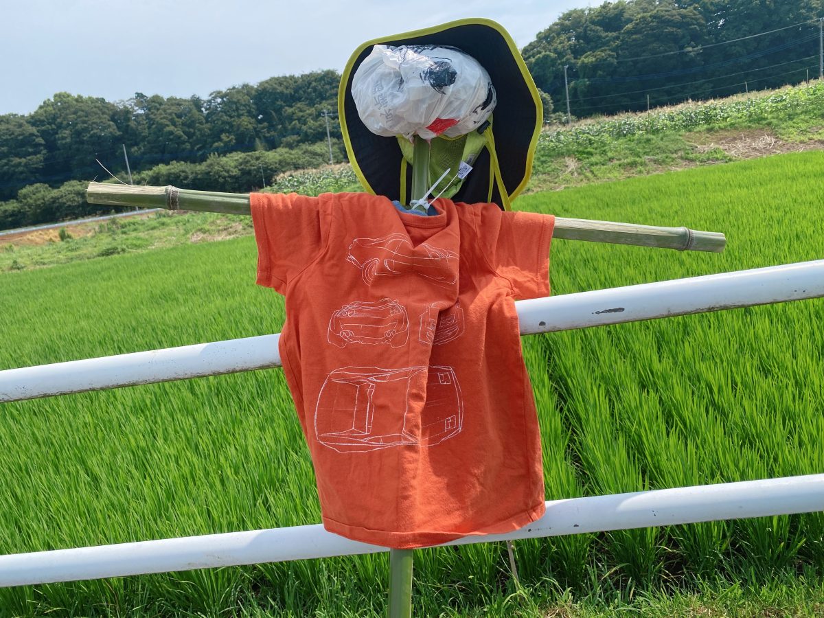 ぱっちりお目め！しっかりと田んぼを見守るぞ〜