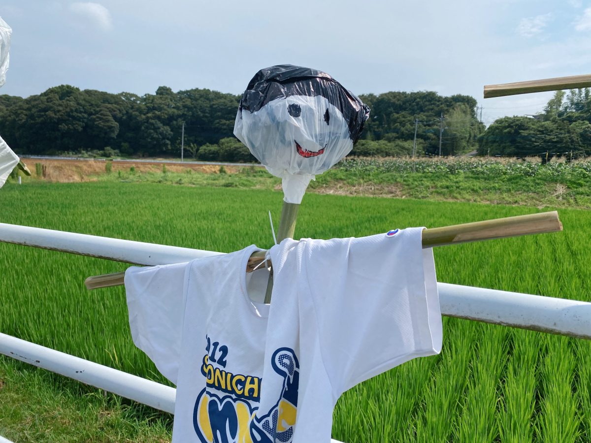 かかしなのに歩き出しそう！