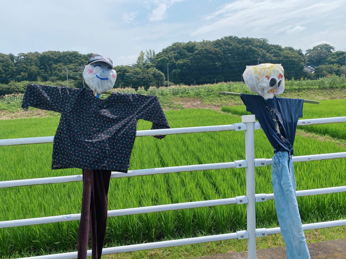 おしゃれ〜！！どちらもブロンズヘアがチャームポイント！