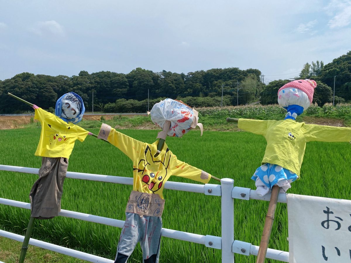 かかしたちから、お米たちへのエールが聞こえてきそうです♪