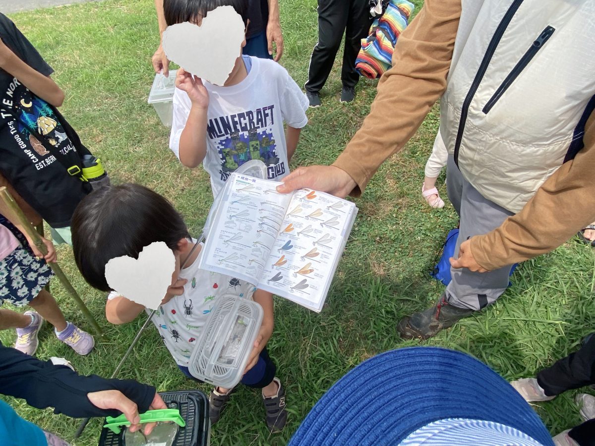 捕まえたヤゴは、トンボになる！？ 本を片手に「これがこうなるんだよ〜」と丁寧な説明〜 子どもたちも「へぇー！」の連続！〜