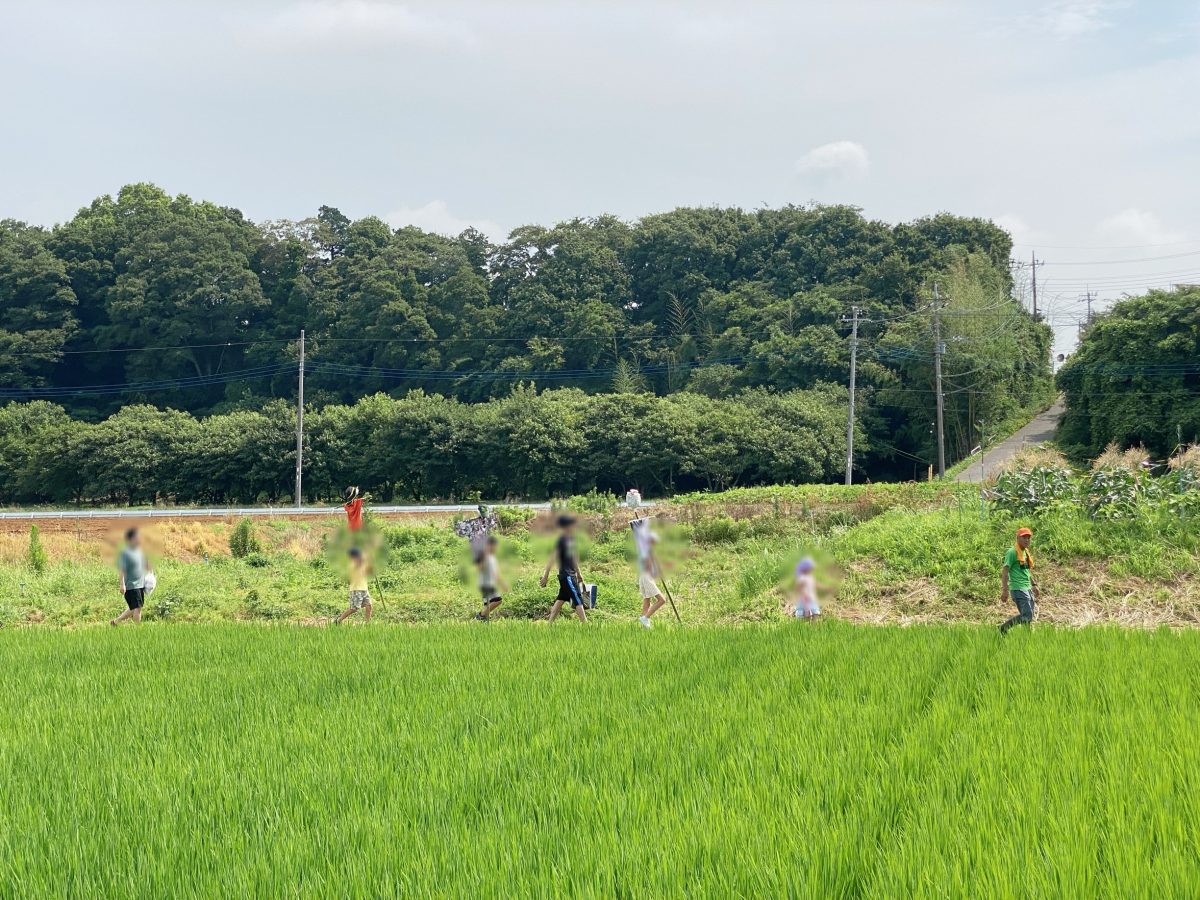 完成したかかしを運び中♩ ずらりと並んで…まるで“かかしの大行進”♩