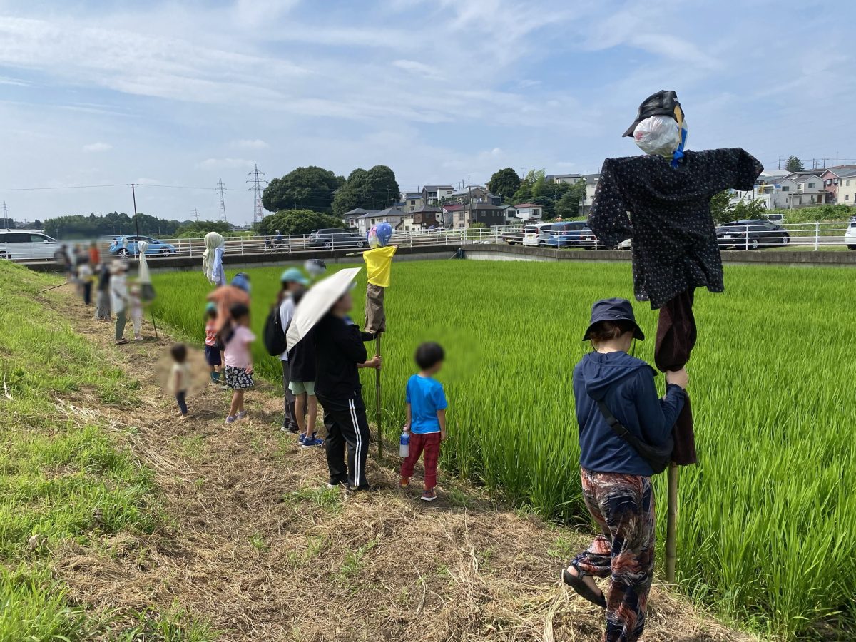 いざ！かかしを田んぼに差し込む瞬間 グッと力を込めて…親子で願いをこめて！これでかかしづくり完了です◎