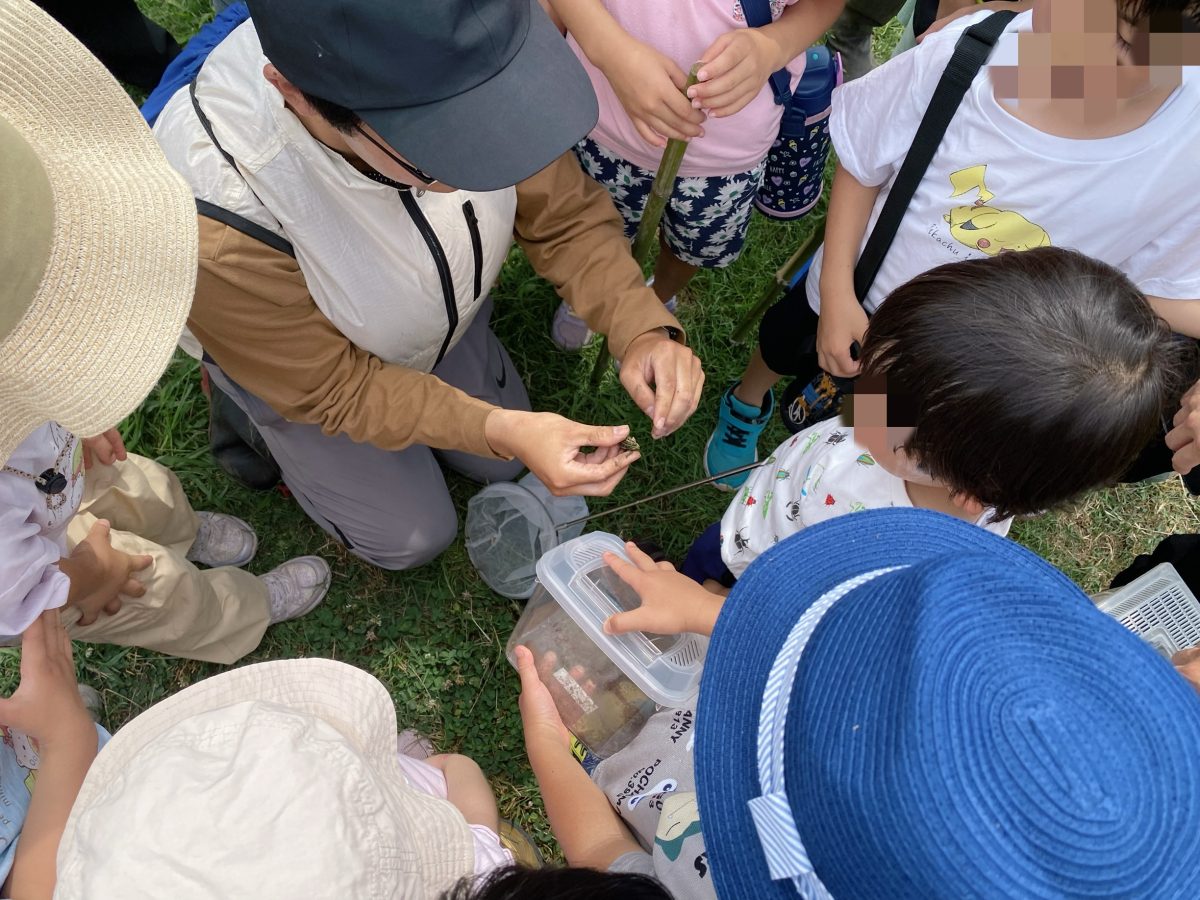 千葉大学の大学院生さんがカエルをやさしく解説中〜ぐるっと囲んで「なにこれ？」「さわっていいの？」興味津々！〜