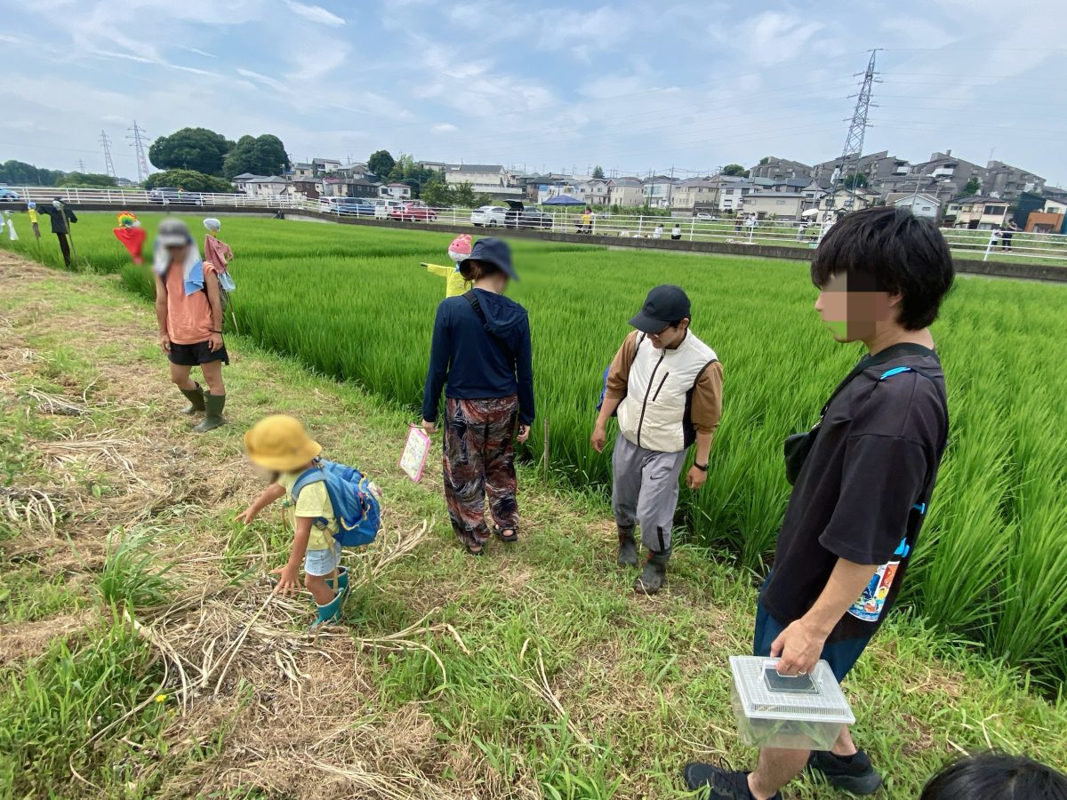 田んぼのまわりを一緒にぐるっと一周！ その場で虫を捕まえて、すぐに質問・すぐに解説！ フィールドならではの学びは目の前の自然が教科書。五感でふれる本物の体験に、子どもたちの目がキラキラしていました(^^)