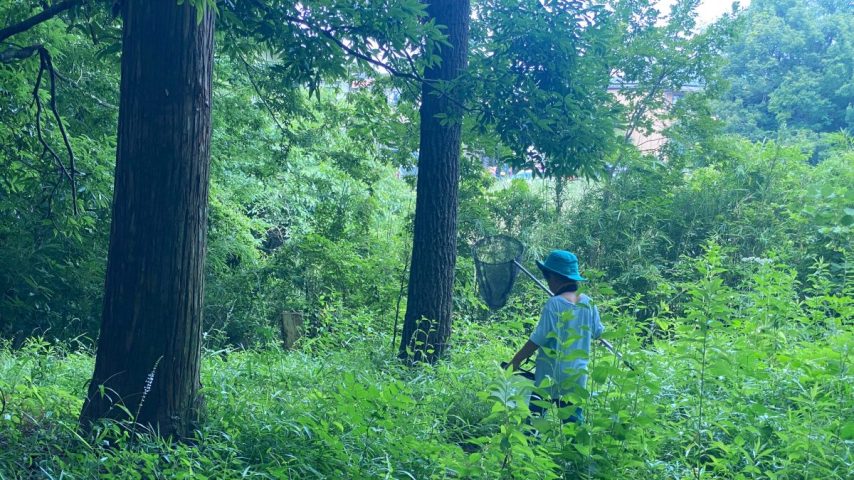 【流山市】あ！いた！！がとまらない♪ 神様トンボにも出会えた！ 親子で行く虫取り冒険記＠東深井地区公園