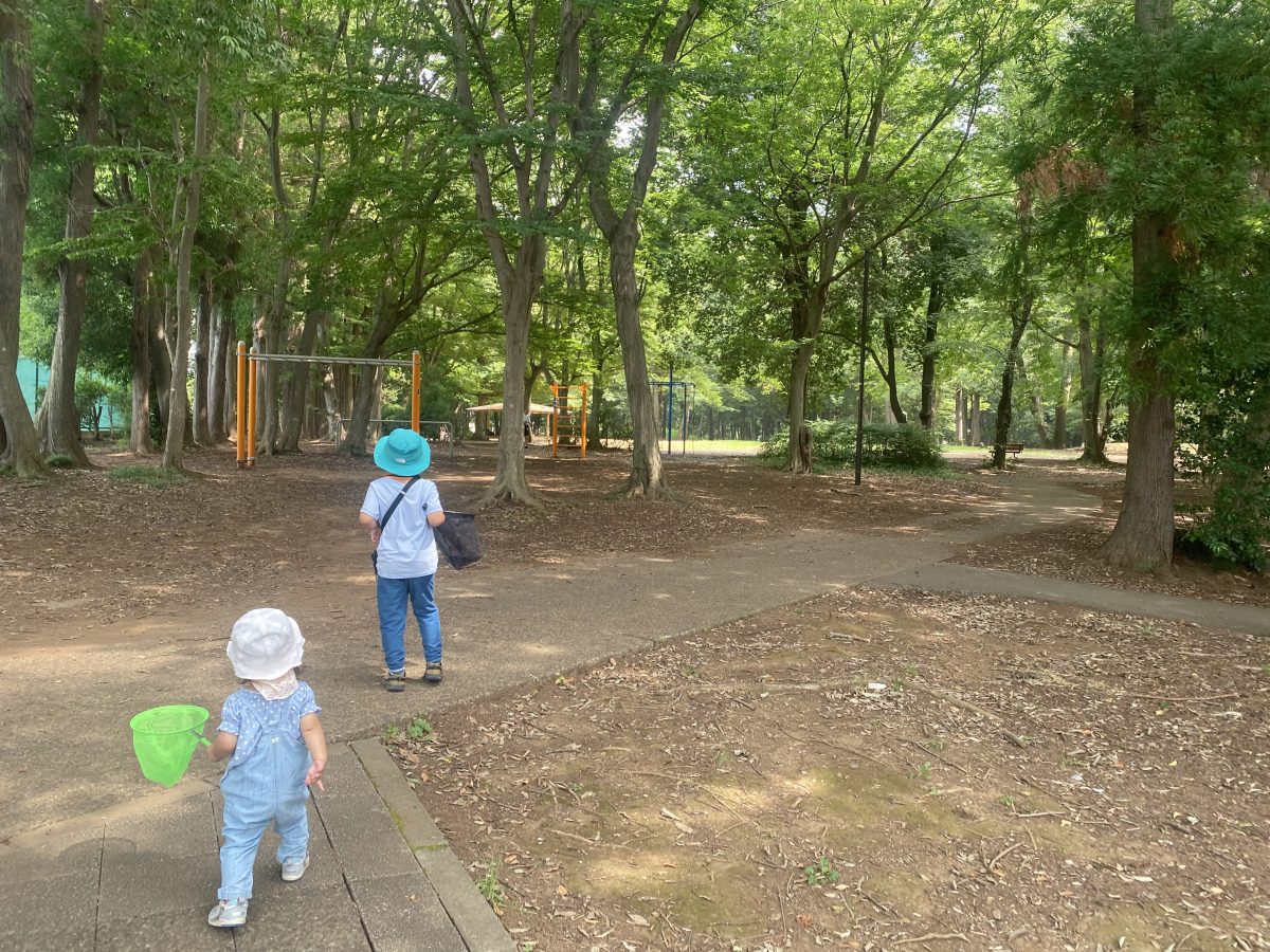 森の中へ、いざ虫取り探検スタート！ 自然が広がる東深井地区公園をお写真たっぷりにレポートします♩