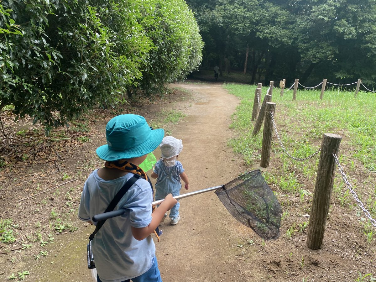 虫取り網とかごを手に、夏の森へ！ 子どもたちのわくわくがあふれてました