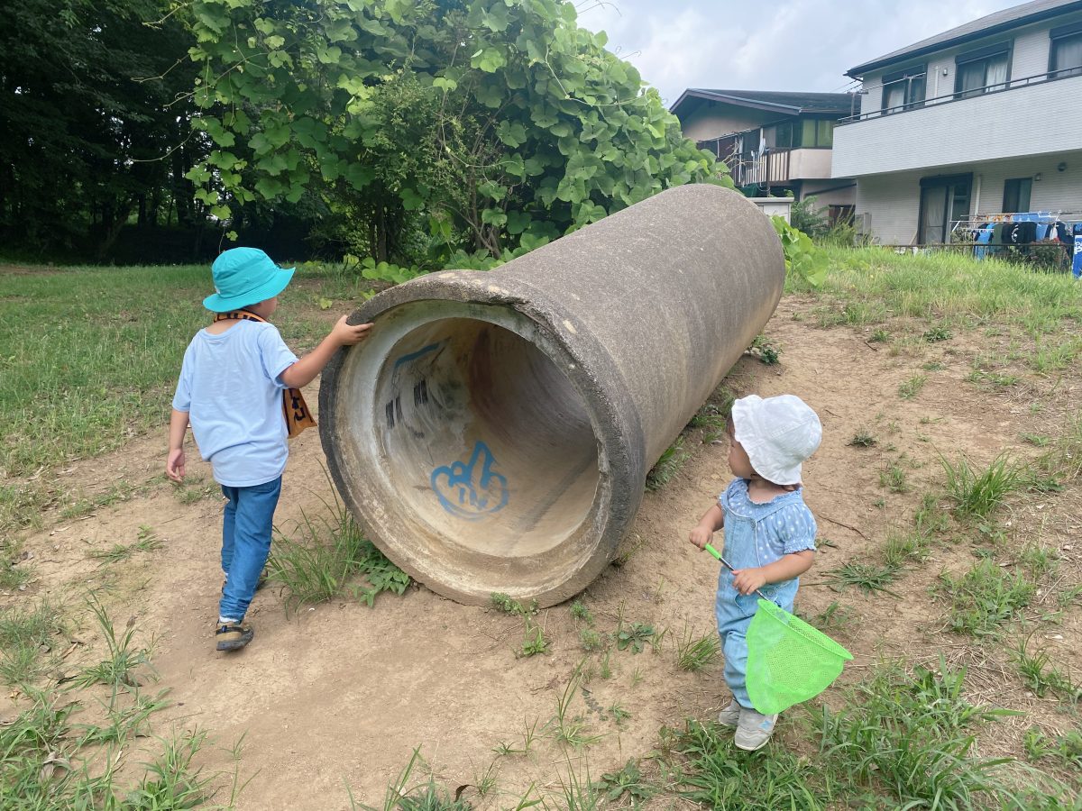 あ！ドラえもんの土管みたい！？ 森の中で思わぬ発見に大盛り上がり